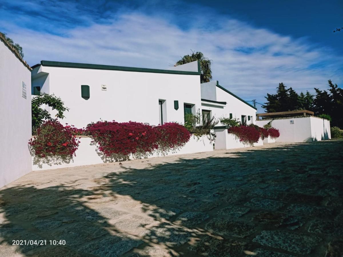 Casa La Palmera - Solo Familias Y Parejas โกนิล เด ลาฟรอนเตรา ภายนอก รูปภาพ